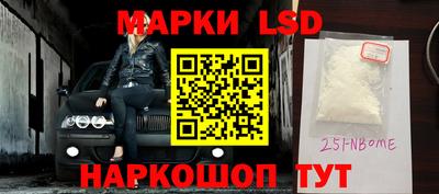 кокс Гатчина