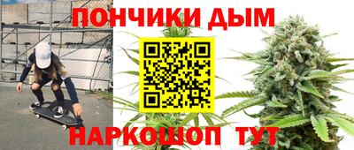 кокс Гатчина