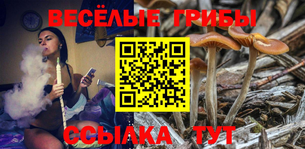 Псилоцибиновые грибы мухоморы Ростов Великий