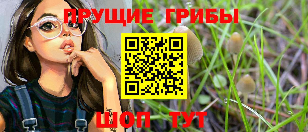 Ростов Великий  Псилоцибиновые грибы ЛСД  Вход с VPN 